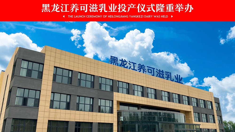 大慶市大同區區委區政府四大班子領導參加，黑龍江養可滋乳業投產儀式隆重舉辦